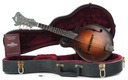 Collings MF Mandolin Sunburst 2005.jpg
