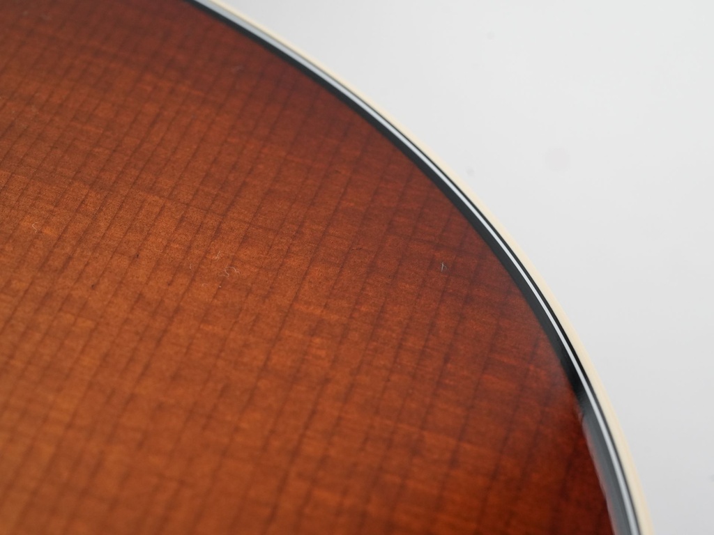 Taylor Gold Label 517e Mahogany Sunburst 2025-15.jpg