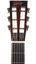 Collings 0002H 2024-4.jpg