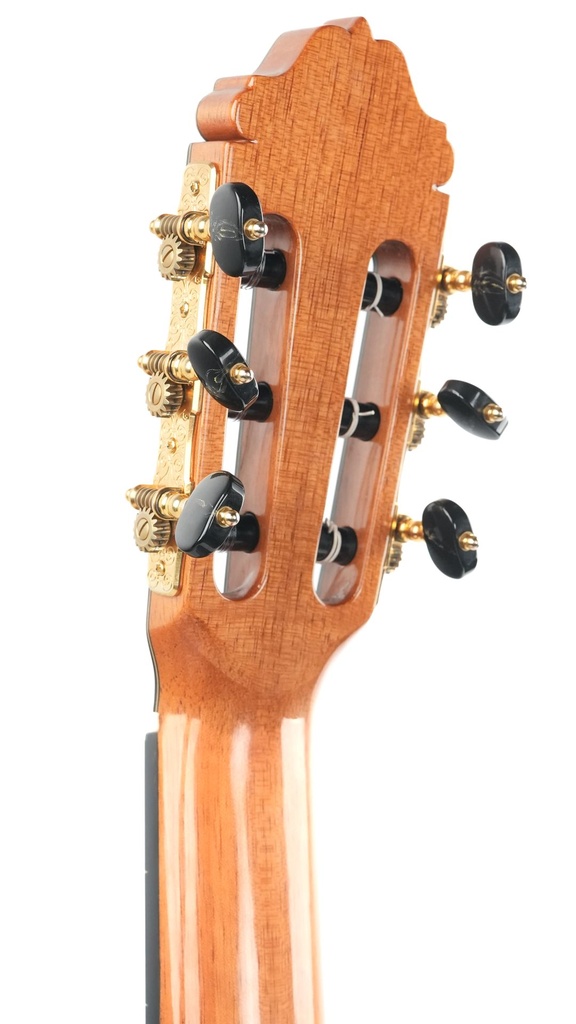 Manuel Adalid Homenaje Cedar 2025-6.jpg