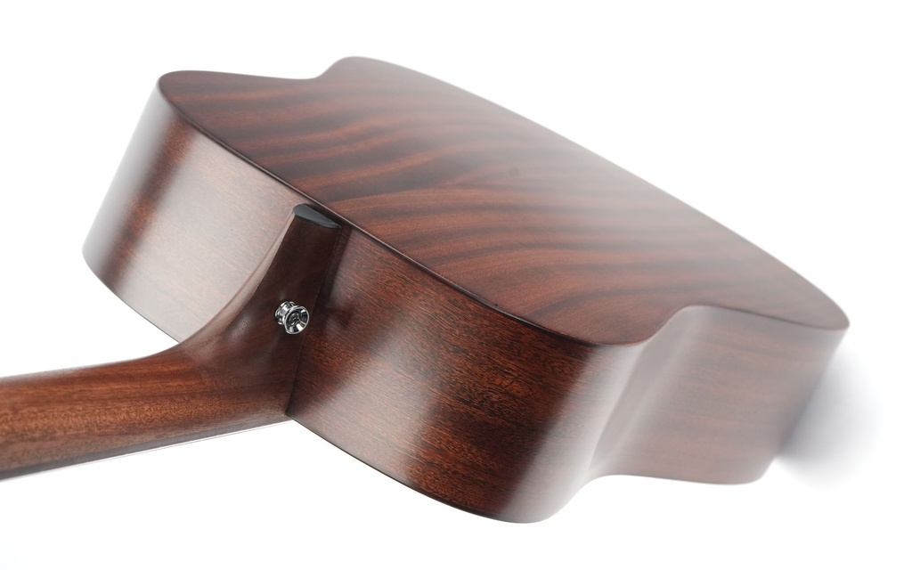 Martin D10E Retro Sapele-8.jpg