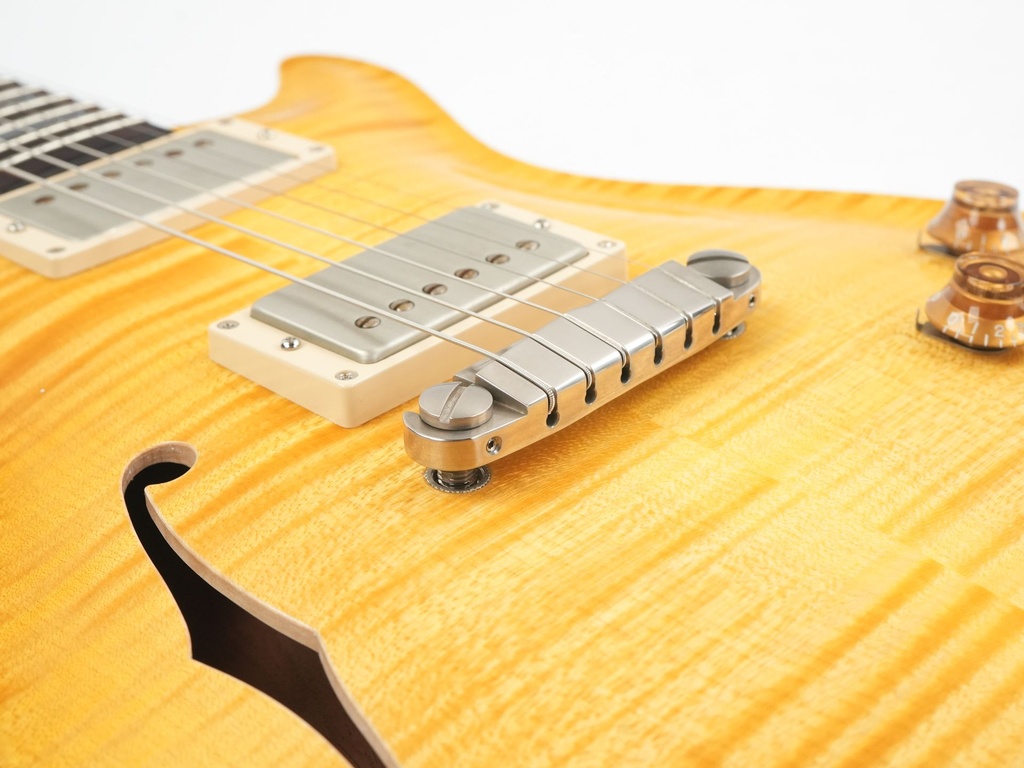 Patrick James Eggle Macon SC Semi Lemon Burst 2022-10.jpg