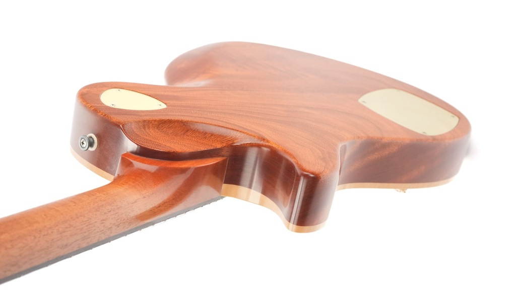 Patrick James Eggle Macon SC Semi Lemon Burst 2022-9.jpg