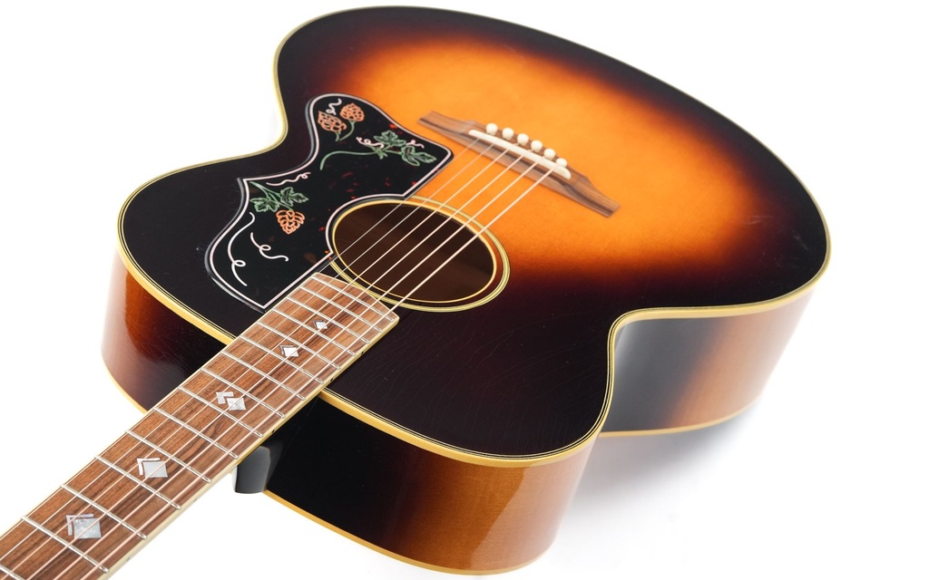 Atkin AJ 'Hops Pickguard'-9.jpg