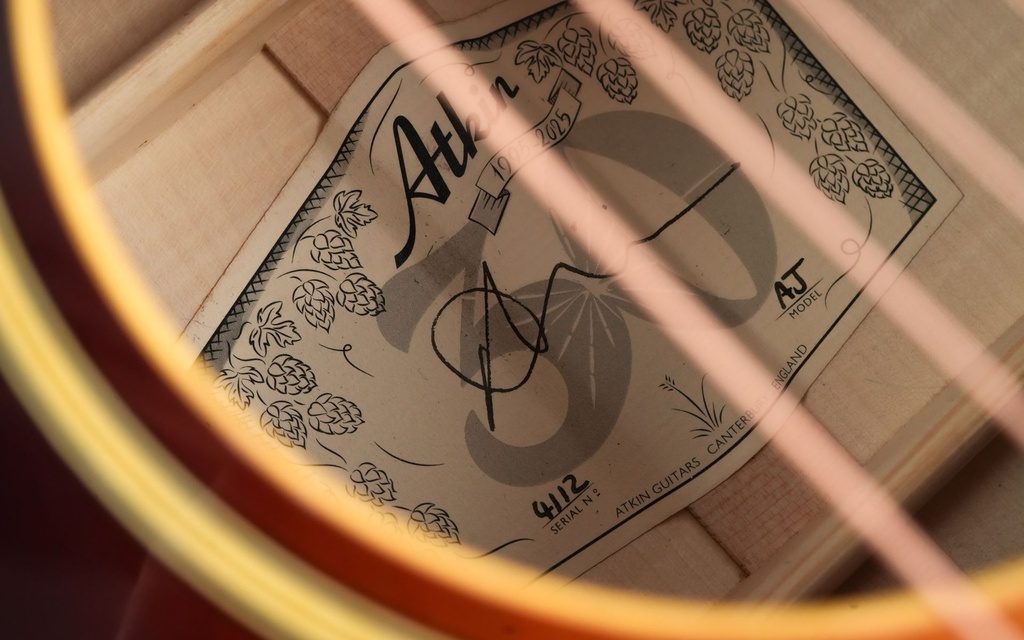 Atkin AJ 'Hops Pickguard'-14.jpg