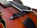 Benedetto Fratello Archtop 2002-10.jpg