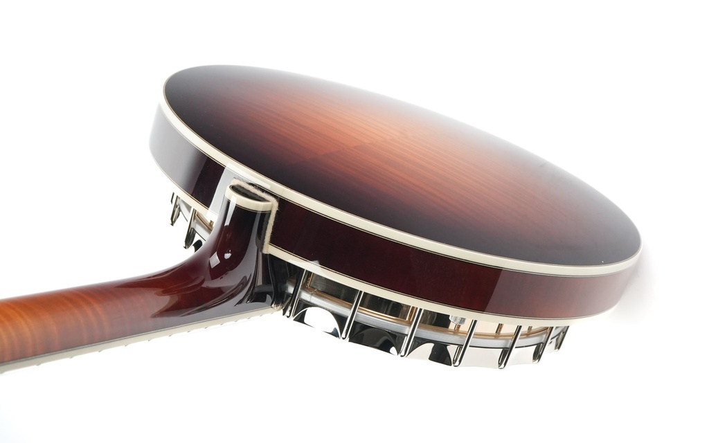 Bulas Resonator Banjo Echo Valley-9.jpg