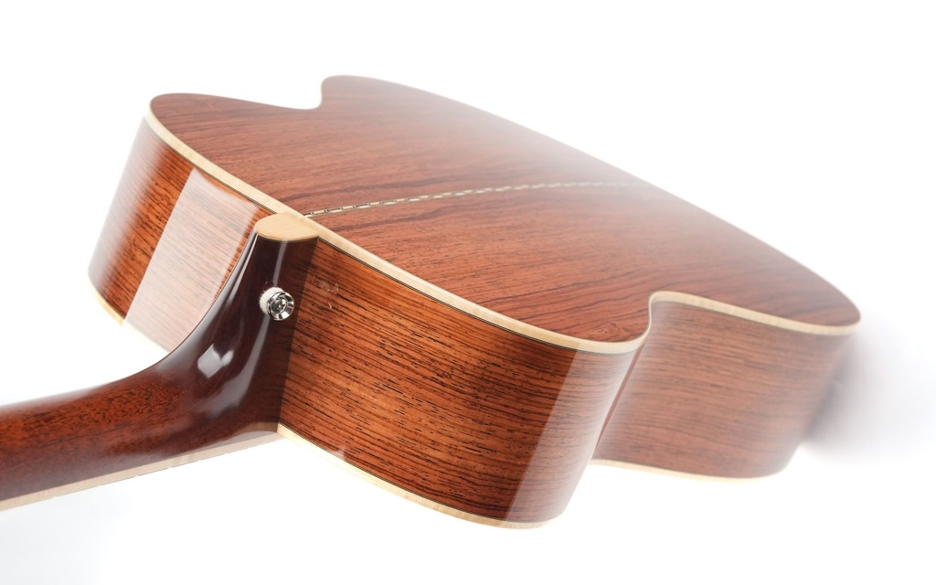 Goodall Traditional OM Palo Escrito Master German Spruce 2023-10.jpg