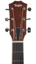 Taylor 210CE 2013-4.jpg