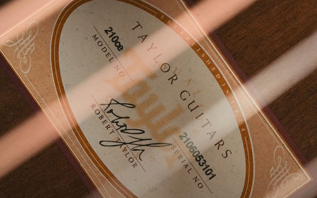 Taylor 210CE 2013-12.jpg