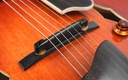 Eastman AR580CE HB-10.jpg