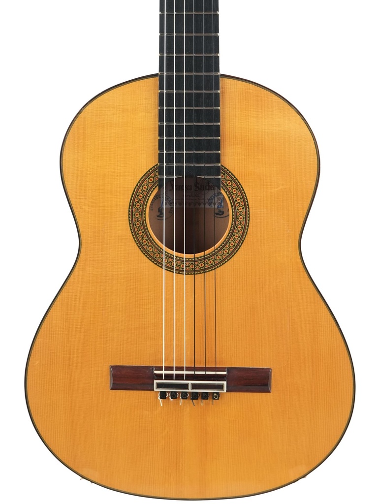 Fransisco Sanchez Flamenco 2016-3.jpg