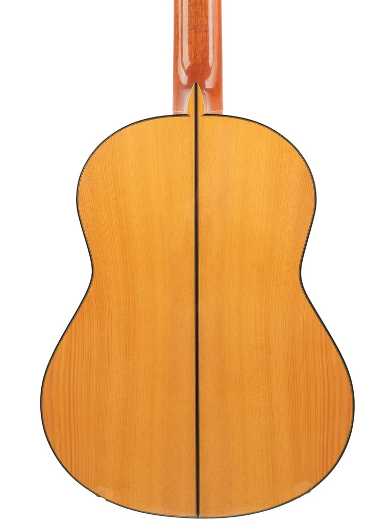 Fransisco Sanchez Flamenco 2016-6.jpg