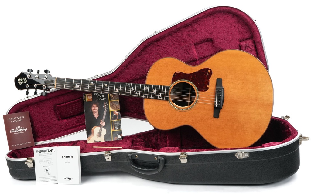 Patrick James Eggle Saluda Custom Rosewood 2021.jpg