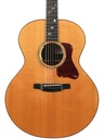 Patrick James Eggle Saluda Custom Rosewood 2021-3.jpg