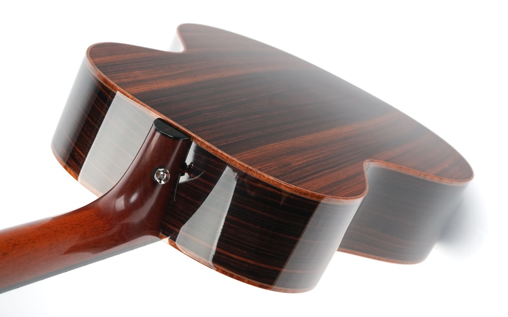 Patrick James Eggle Saluda Custom Rosewood 2021-9.jpg