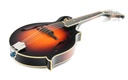 Eastman MD615 Sunburst 2015-13.jpg