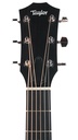 Taylor 214ce-4.jpg