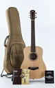 Taylor Baby Taylor BT1 Walnut.jpg