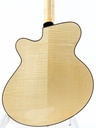 Eastman PG2-BD 2021-6.jpg