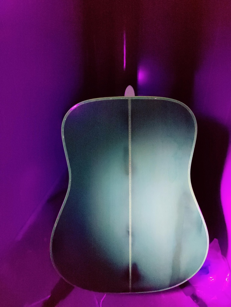 Martin D45 Brazilian 1969