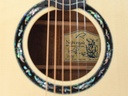 Kevin Ryan Nightingale Quilted Mahogany European Spruce-11.jpg