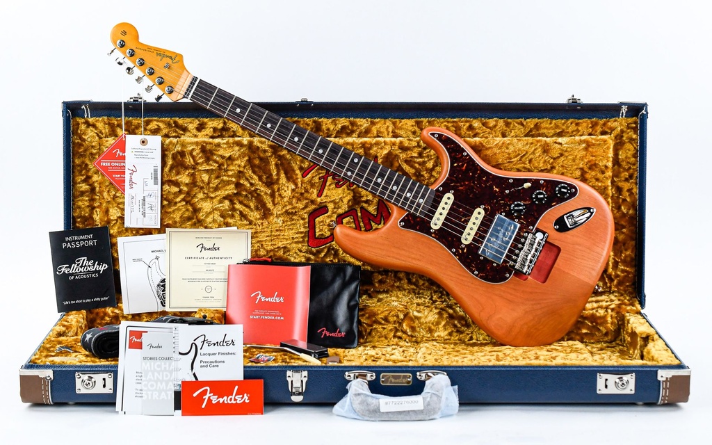 Fender Collection Michael Landau Coma Stratocaster.jpg