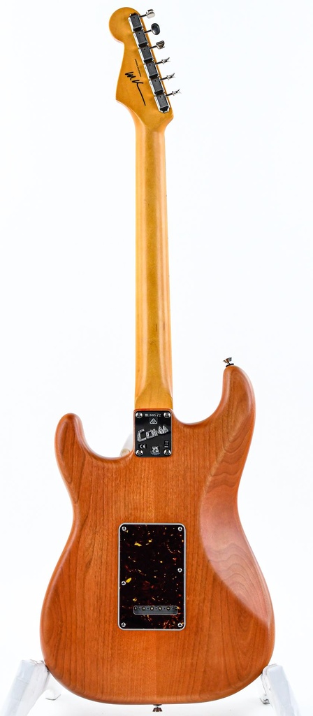 Fender Collection Michael Landau Coma Stratocaster-7.jpg