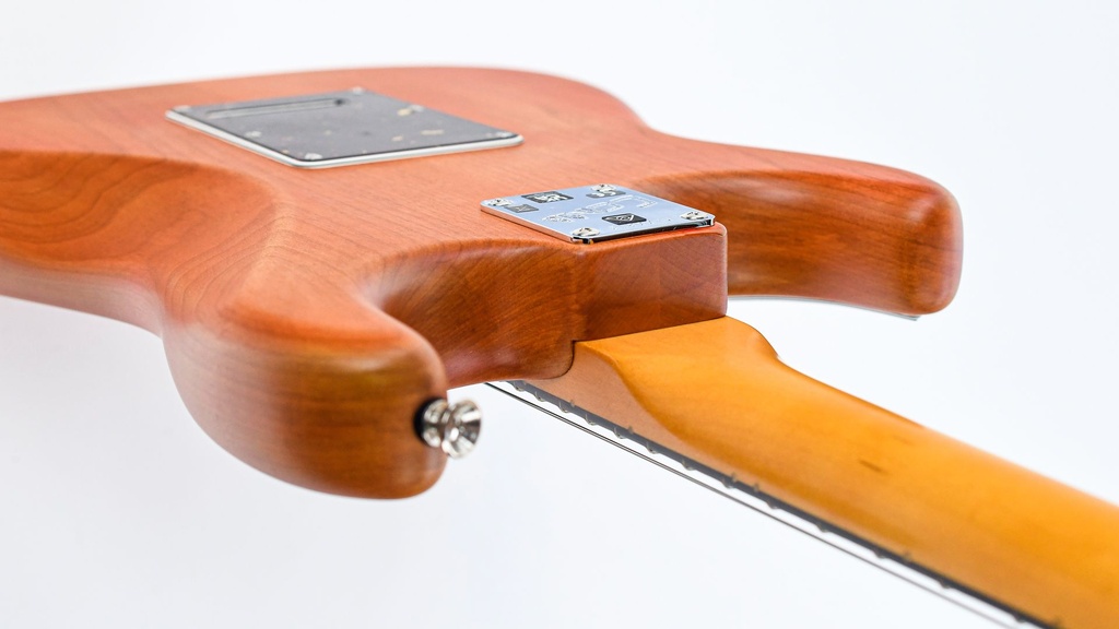 Fender Collection Michael Landau Coma Stratocaster-9.jpg