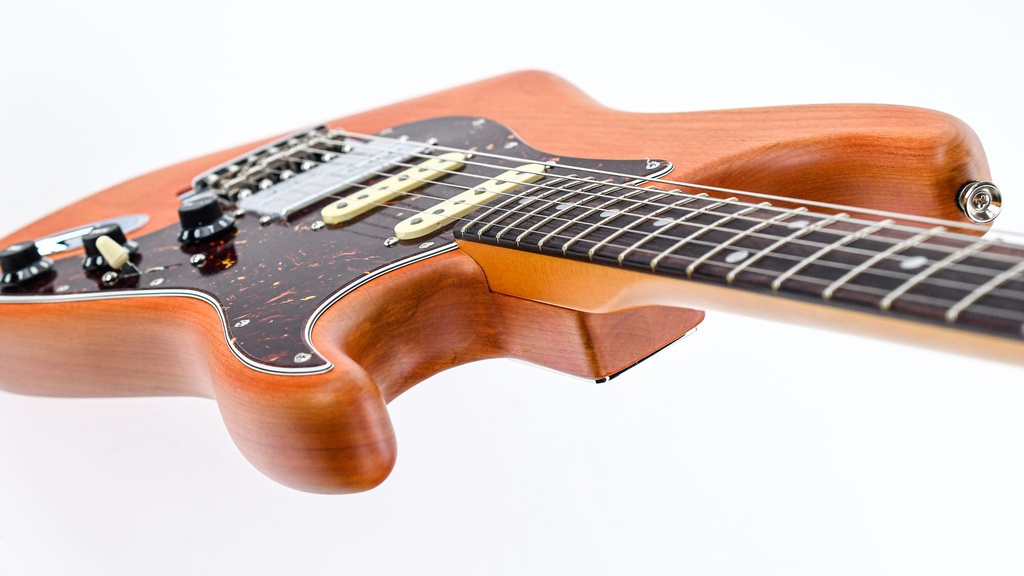 Fender Collection Michael Landau Coma Stratocaster-8.jpg