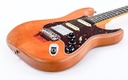 Fender Collection Michael Landau Coma Stratocaster-11.jpg