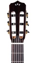 Cordoba Stage Limited Blue Burst-4.jpg