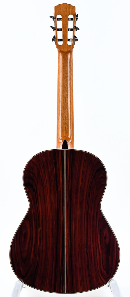 Aragon AT-PL-1400 Classical Cocobolo Spruce 2020-7.jpg