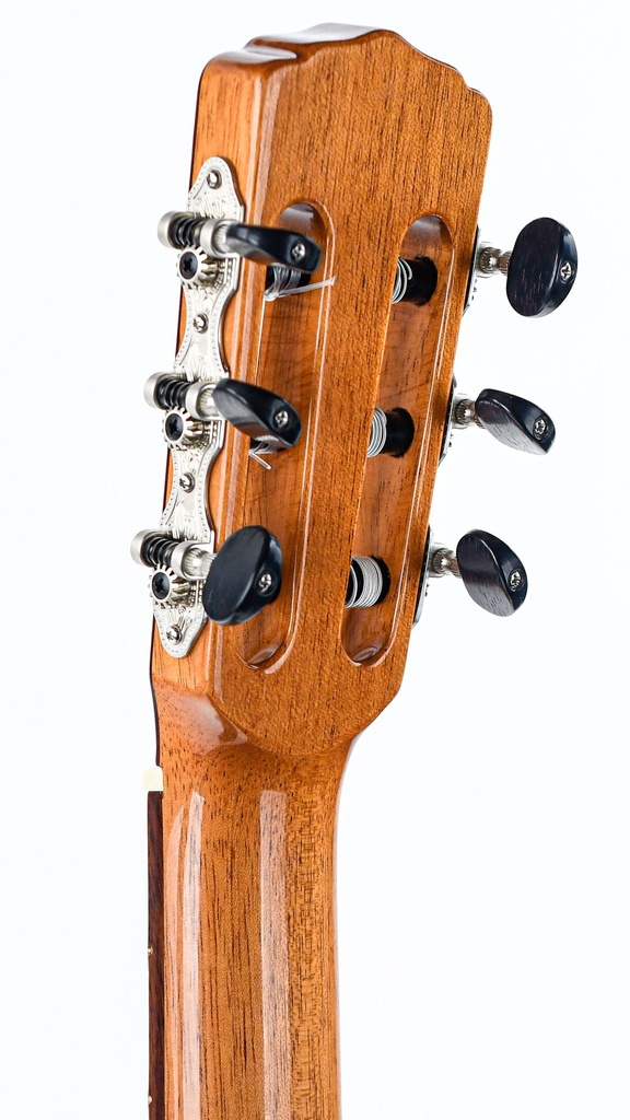 Aragon AT-PL-1400 Classical Cocobolo Spruce 2020-5.jpg