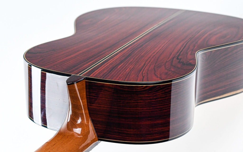 Aragon AT-PL-1400 Classical Cocobolo Spruce 2020-9.jpg