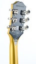 epiphone-jared-james-nichols-gold-glory-les-paul-c6.jpg