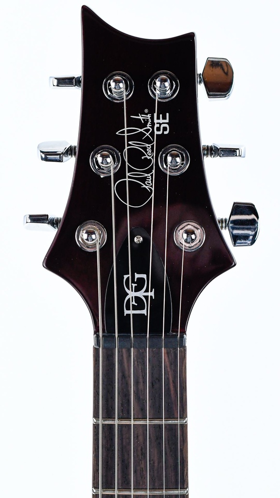 PRS SE DGT Gold Top-4.jpg