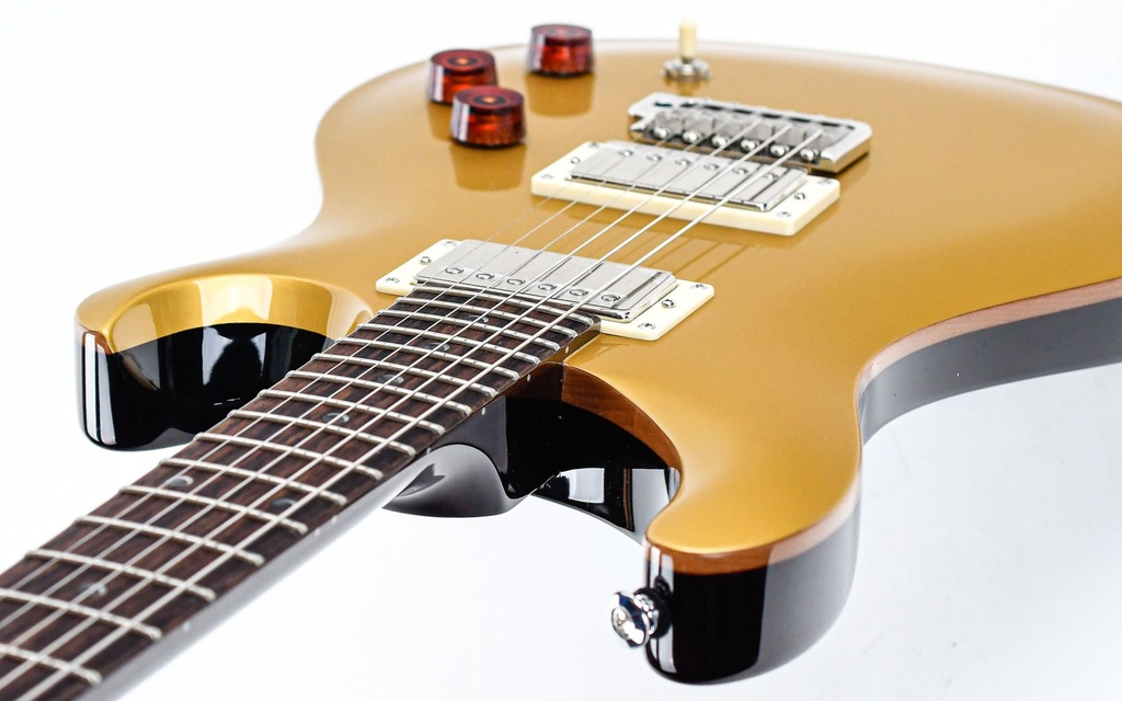 PRS SE DGT Gold Top-8.jpg