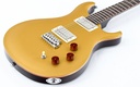 PRS SE DGT Gold Top-11.jpg