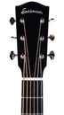 Eastman E10 OOSS Sunburst-4.jpg