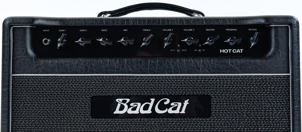 Bad Cat Hot Cat Head-7.jpg