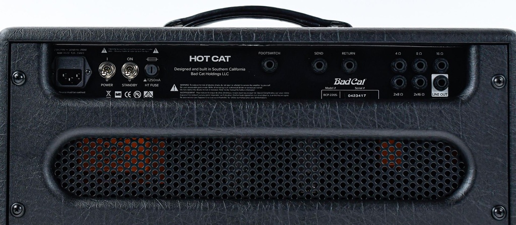 Bad Cat Hot Cat Head-9.jpg