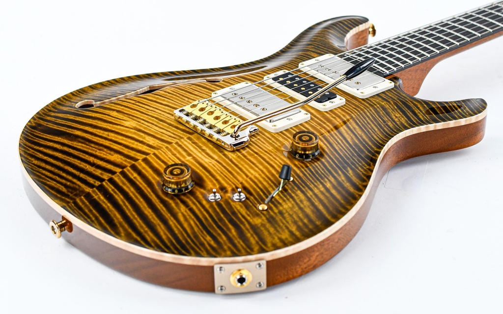 PRS Private Stock Special 22 Semi Hollow Tiger Eye Glow-11.jpg