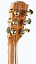 Gibson Songwriter Standard EC Rosewood Lefty-5.jpg