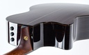 Taylor 914CE Redwood Special Edition-9.jpg