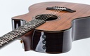 Taylor 914CE Redwood Special Edition-8.jpg