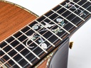 Taylor 914CE Redwood Special Edition-12.jpg