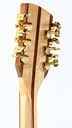 Rickenbacker 700_12S Shasta 12 String 1999-5.jpg