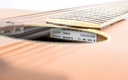 Rickenbacker 700_12S Shasta 12 String 1999-11.jpg