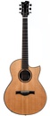 Lowry Carrick Sitka Spruce Indian Rosewood 2021